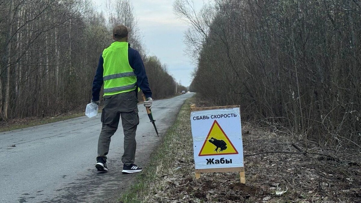     Автор: Александр Соловьев Источник: udm-info.ru