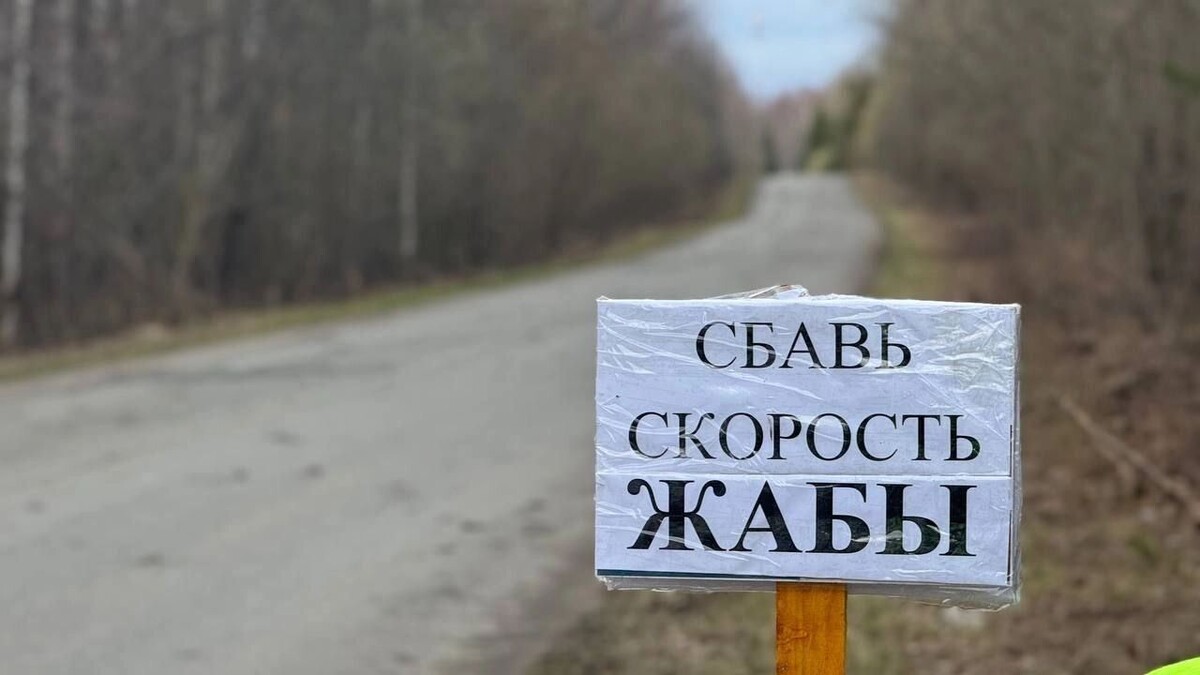     Автор: Александр Соловьев Источник: udm-info.ru