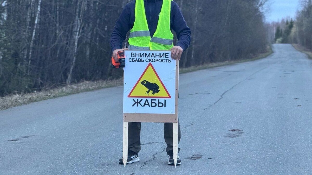     Автор: Александр Соловьев Источник: udm-info.ru