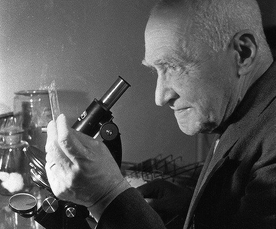 Академик Николай Гамалея