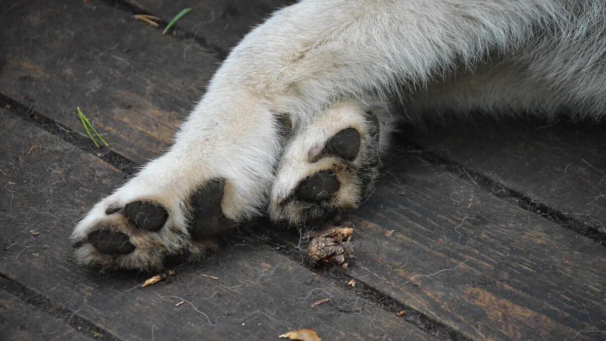     Источник: 1MI