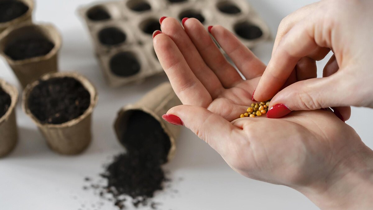 Фото: freepik.com