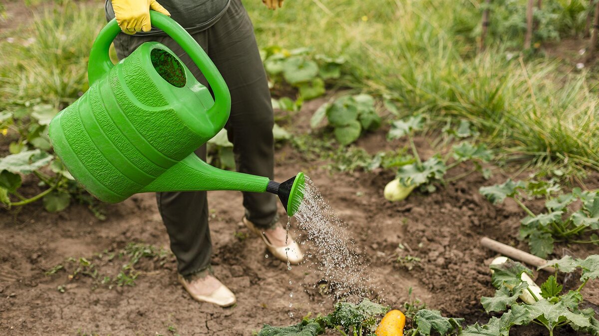 Фото: freepik.com