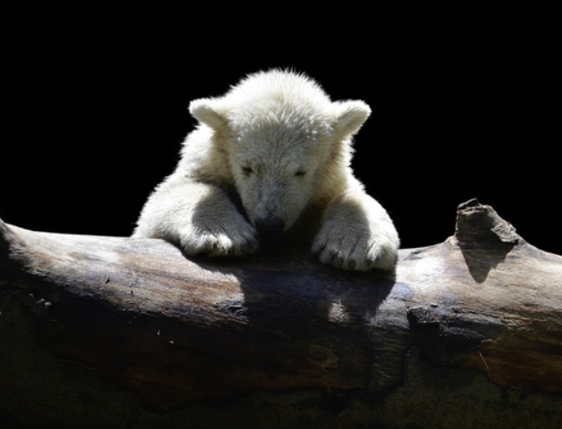 Листайте галерею вправо