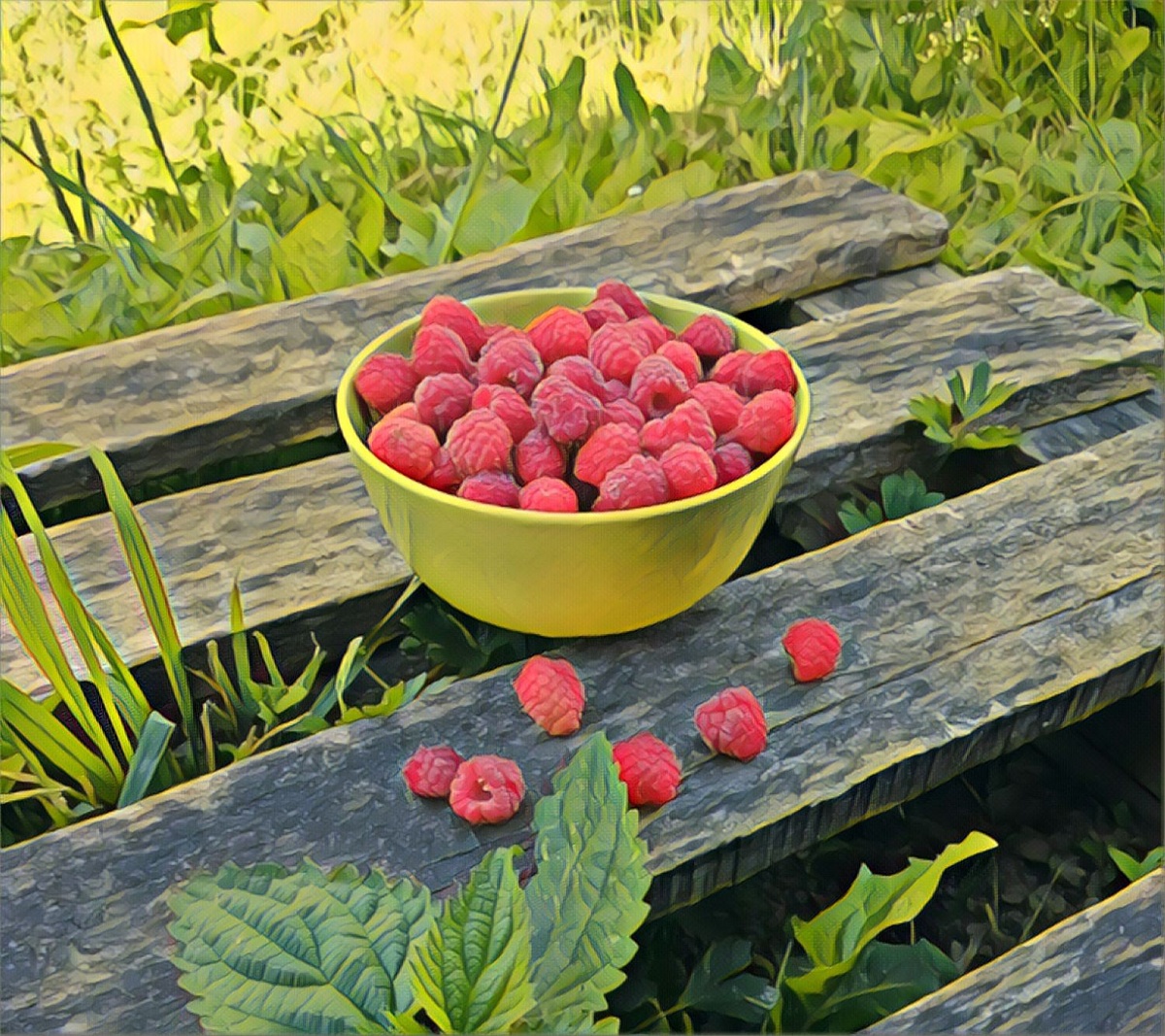 Малина от хозяйки дома