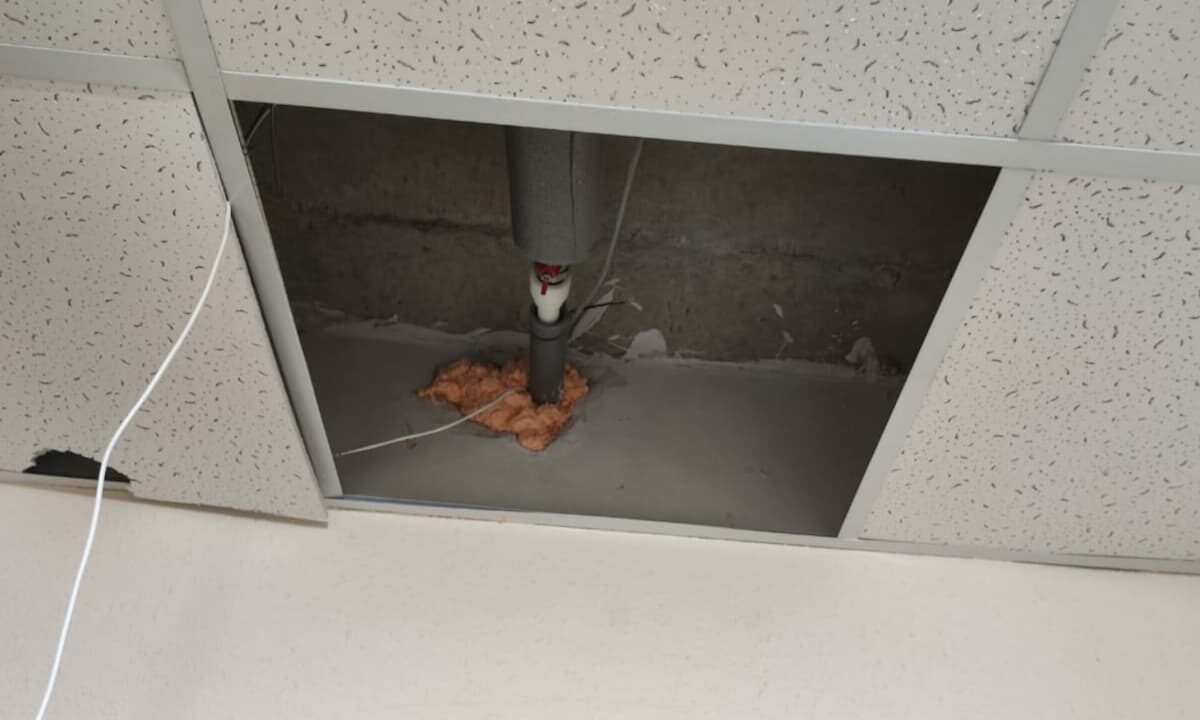    Фото t.me/rosgvard_krasnodar