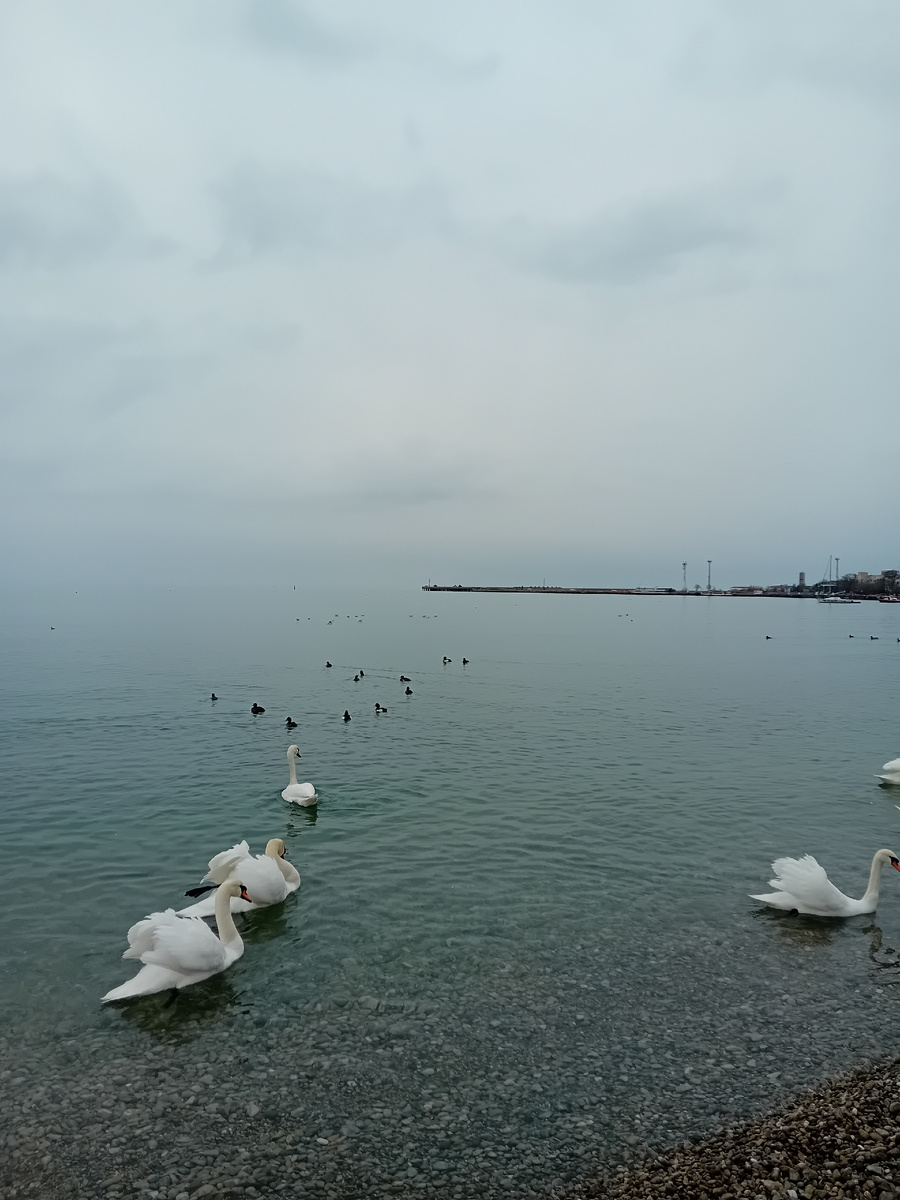 Авторское фото.