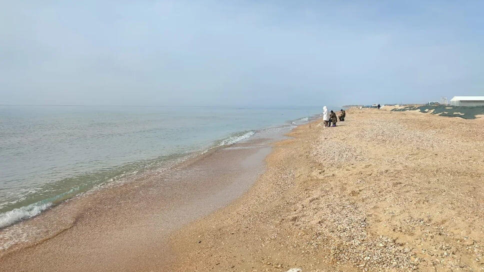 Фото: www.atorus.ru