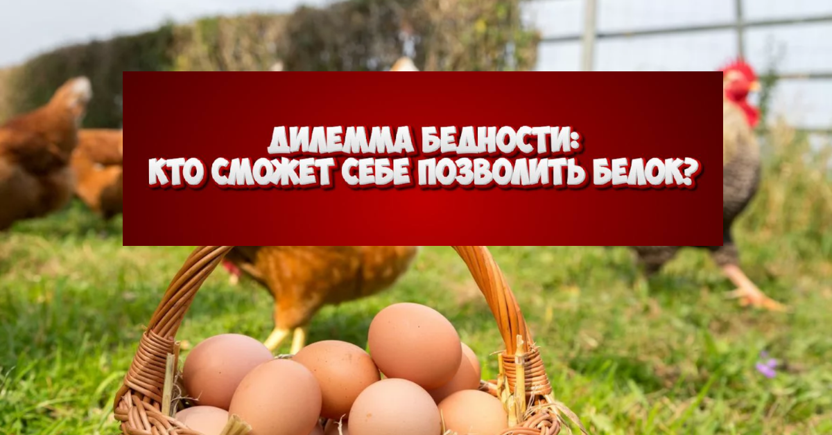 Этика, экономика и белок: Как накормить мир без жертв?