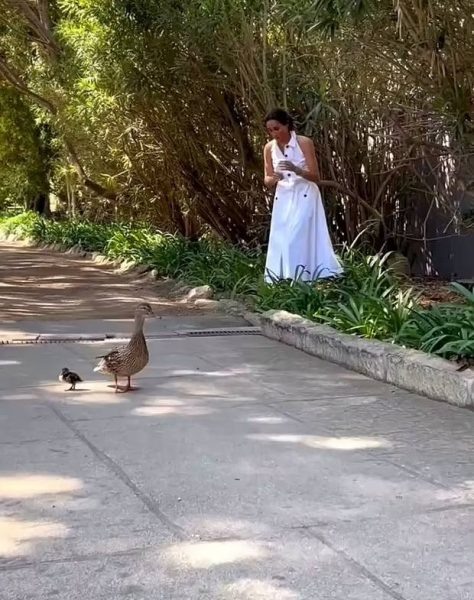    Меган Маркл. Фото: соцсети