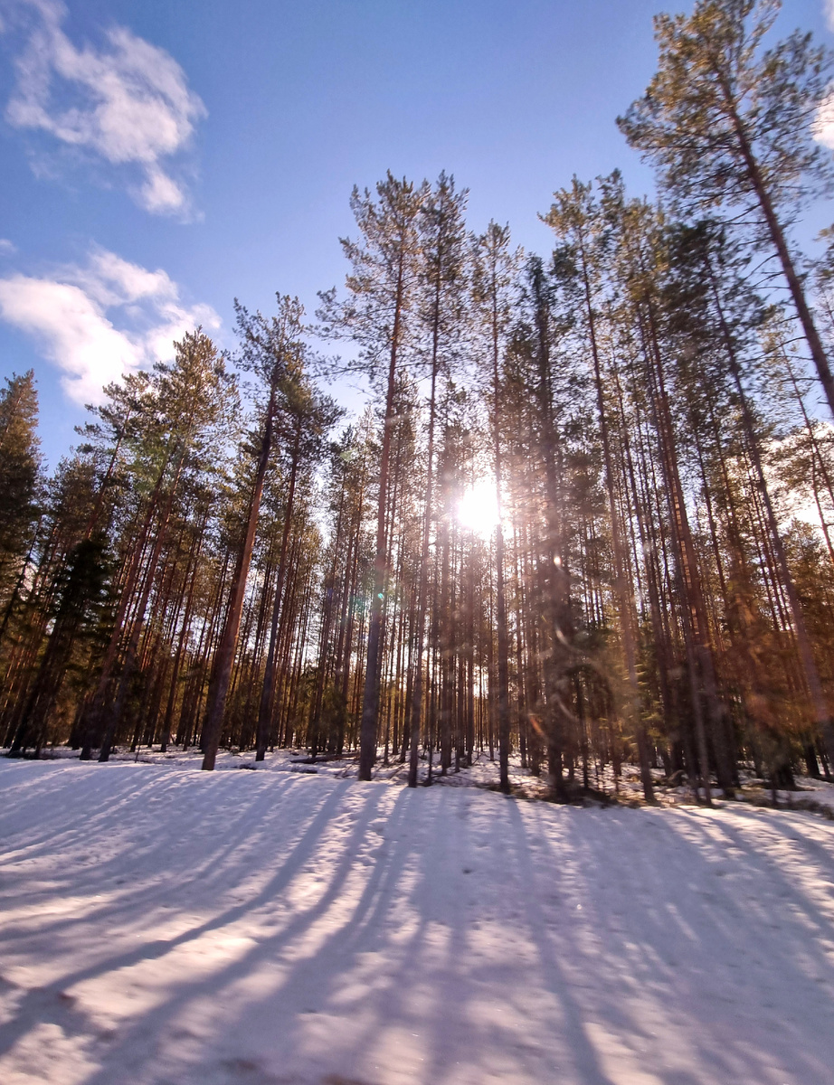 Фото автора статьи.