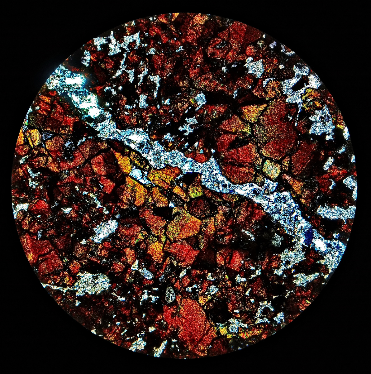 Фото автора. Галерея вправо.