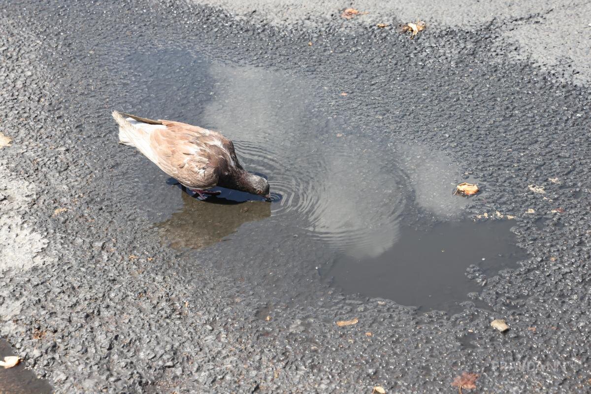    Рекорд тепла установился 20 апреля 2025 года