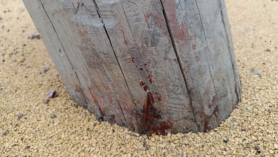    Проблемы с игровым оборудованием в парке Дружбы Автор фото: t.me/pavelshvets72