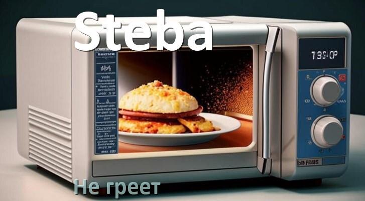 
Почему микроволновая печь Steba не греет но работает