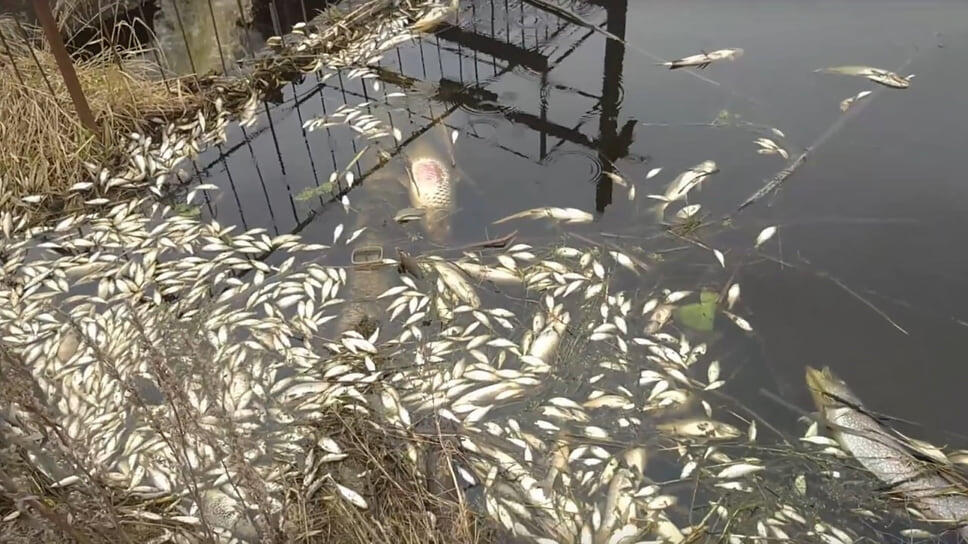 Фото: Александр Зыкин, vk