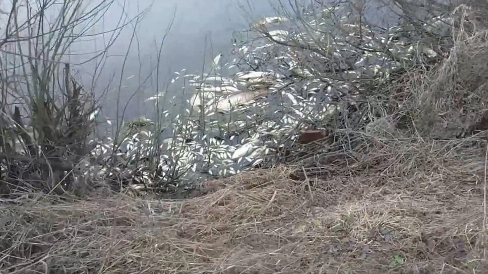 Фото: Александр Зыкин, vk