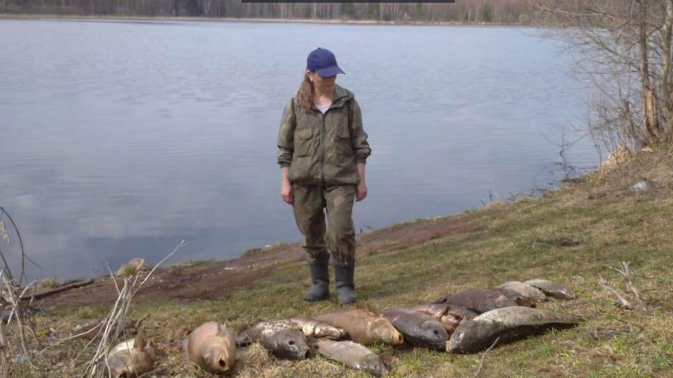 Фото: Александр Зыкин, vk