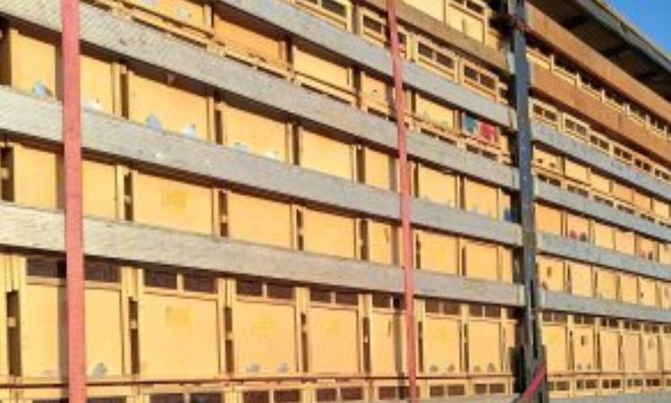    Крупную партию пчелопакетов из Узбекситана заблокировал Россельхознадзор в Челябинской области