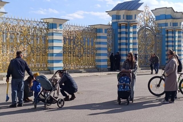    Фото: spb.aif.ru/ Татьяна Швецова