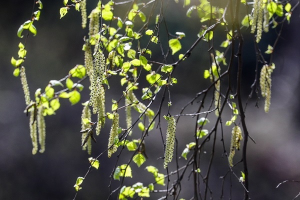 Фото: ТАСС/Булкин Сергей