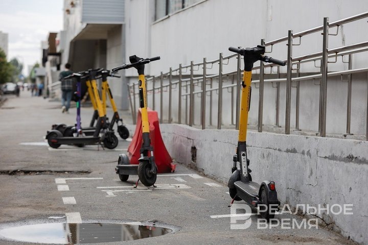 Мария Зверева / realnoevremya.ru