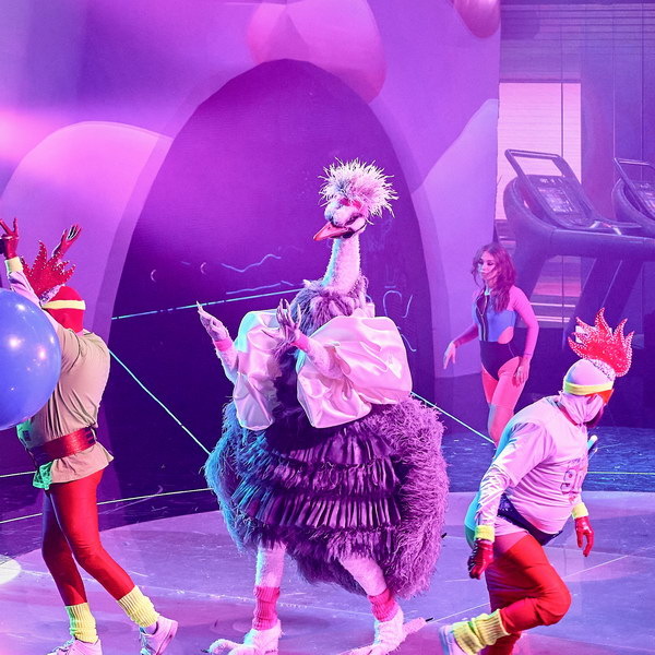     Страус раскроет тайну своей личности только в финале «Маски»