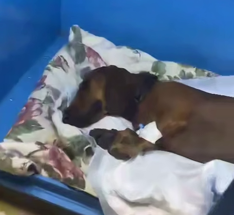    Фото: соцсети