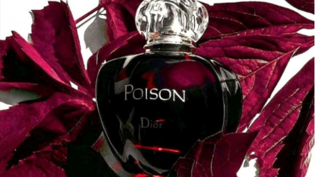 Аккорды и основные ноты в галлерее, листай карусель