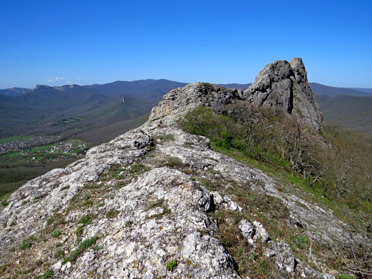 Мишу заметили?