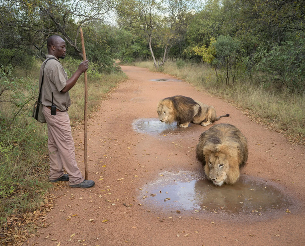    Zed Nelson, worldphoto.org