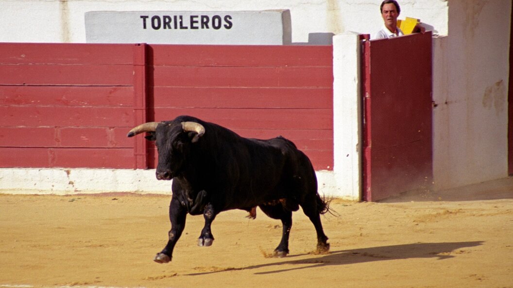    Фото: Dmitriy Puzyrev/Russian Look/Globallookpress