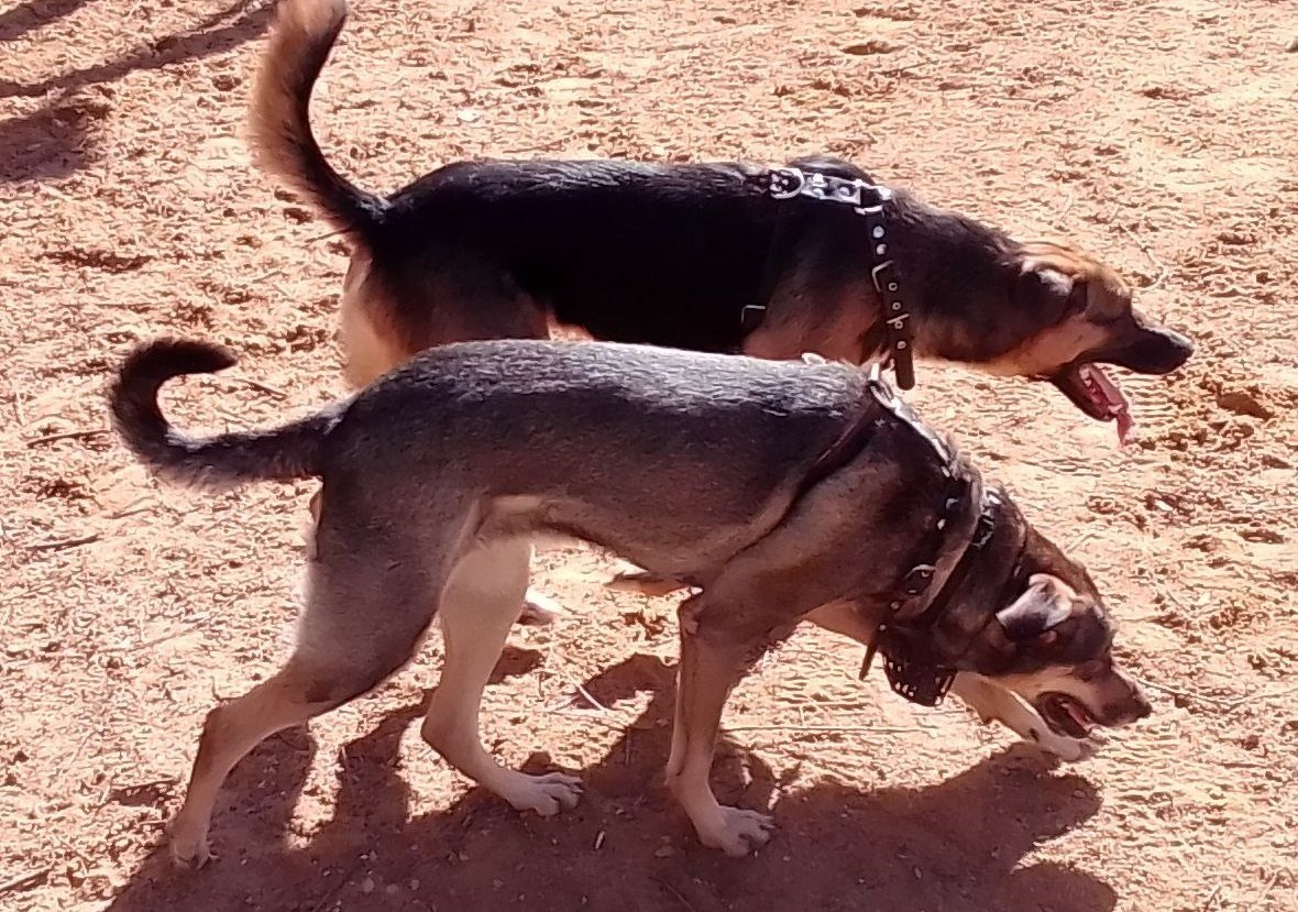 Тося и Платон