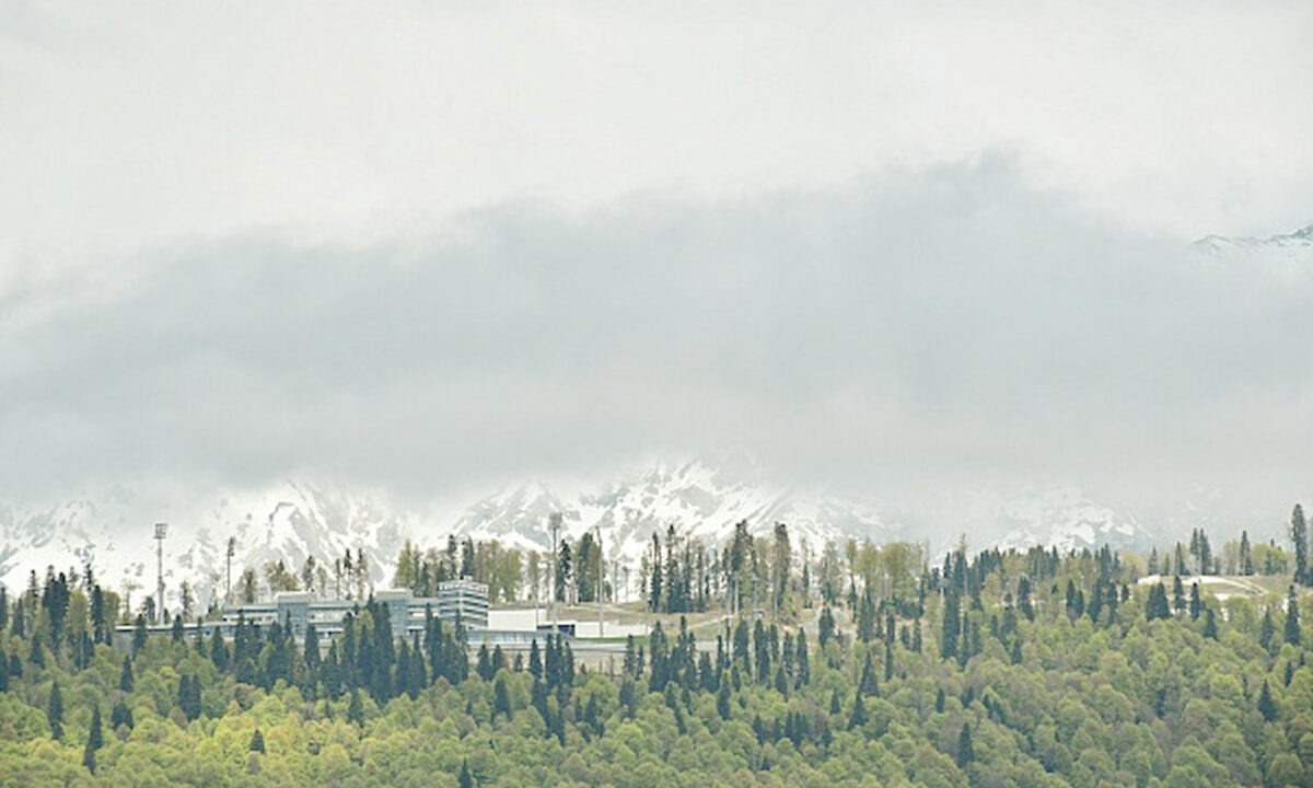    Фото пресс-службы администрации Сочи