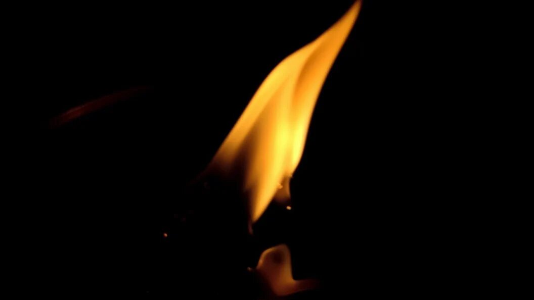    ФОТО: Царьград