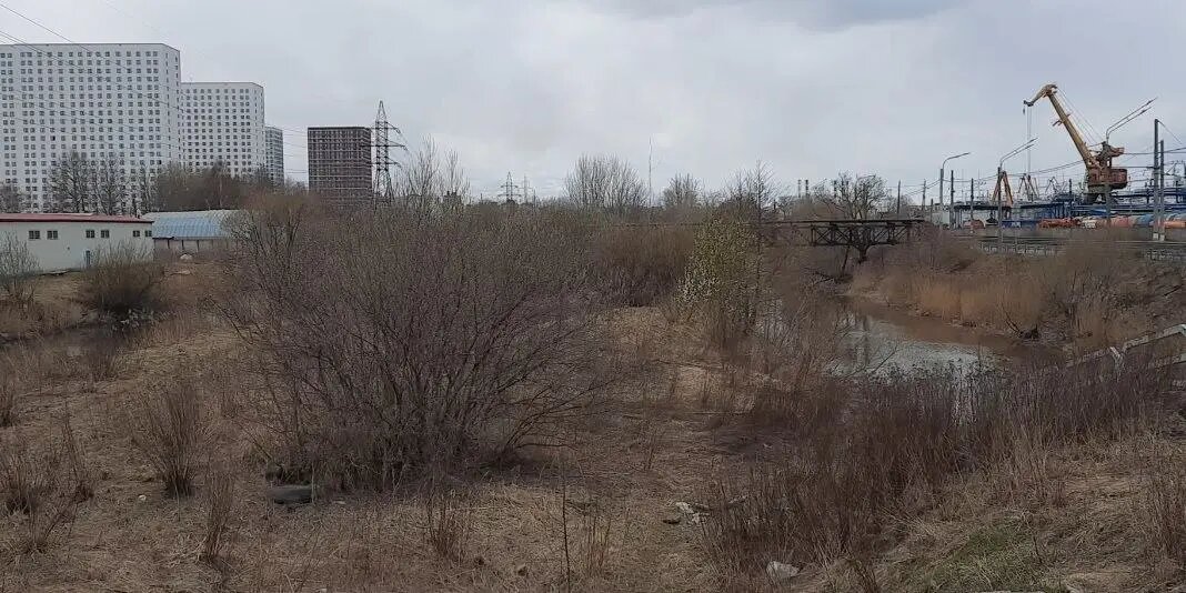    Место убийства 12-летней девочки. Фото: Мойка78