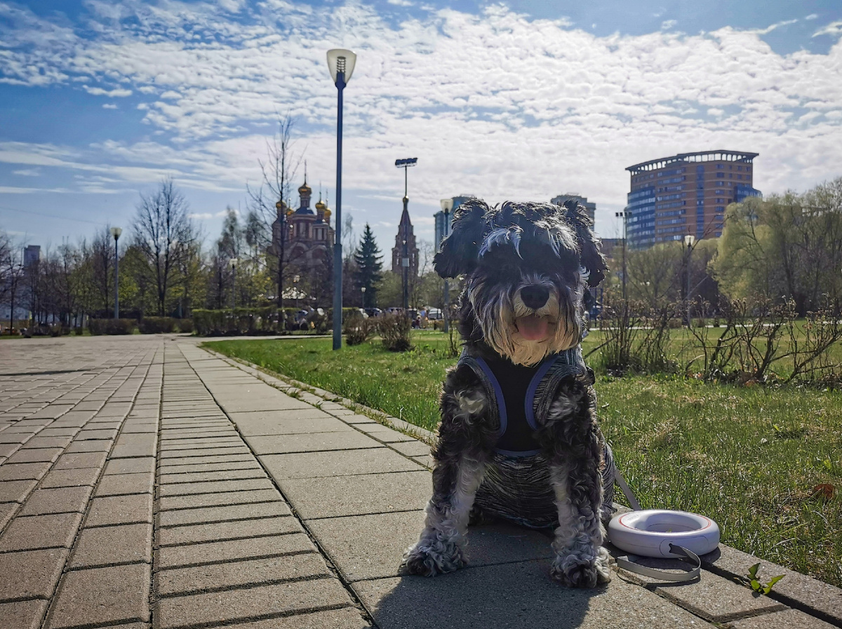 Джесси на обратном пути из клиники