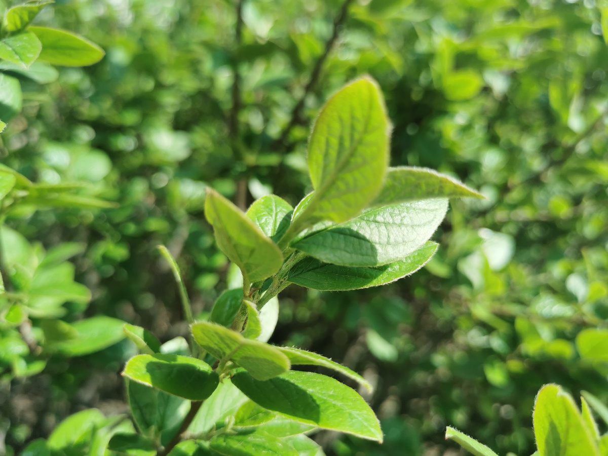 Смотрите, как уже зелено! 