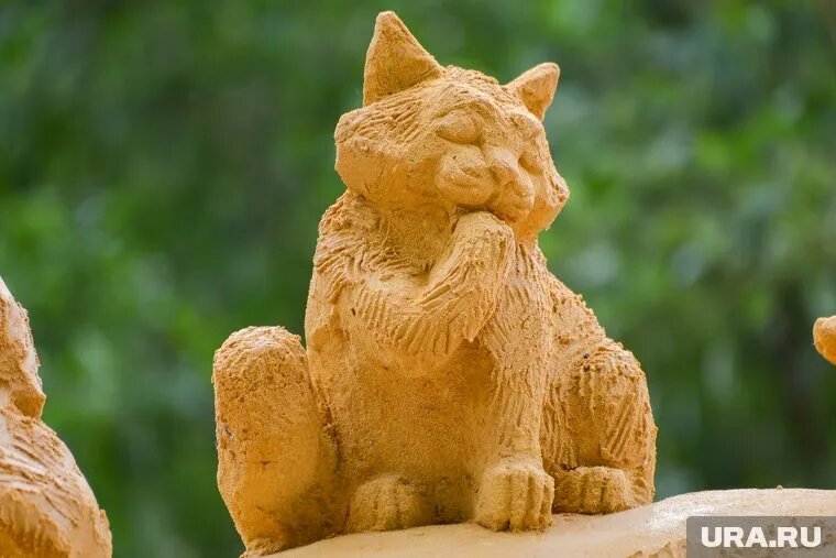 Кошку со скверным характером выставили на продажу в Южноуральске. Фото: Вадим Ахметов © URA.RU