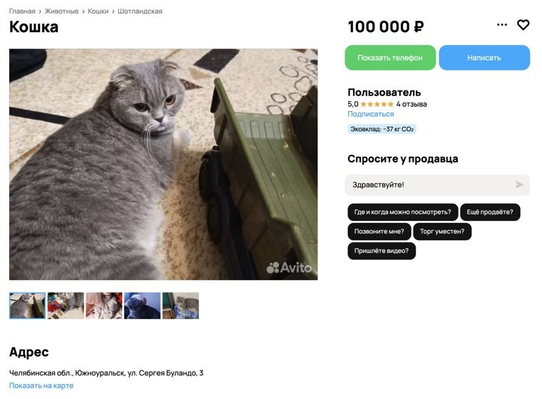 В Южноуральске продают кошку, которая не любит, когда ее гладят. Фото: скрин с сайта «Авито» https://www.avito.ru/yuzhnouralsk/koshki/koshka_7278288863