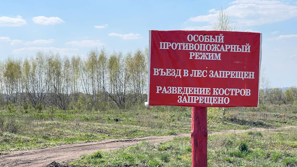 Фото: Олег Харсеев / Коммерсантъ