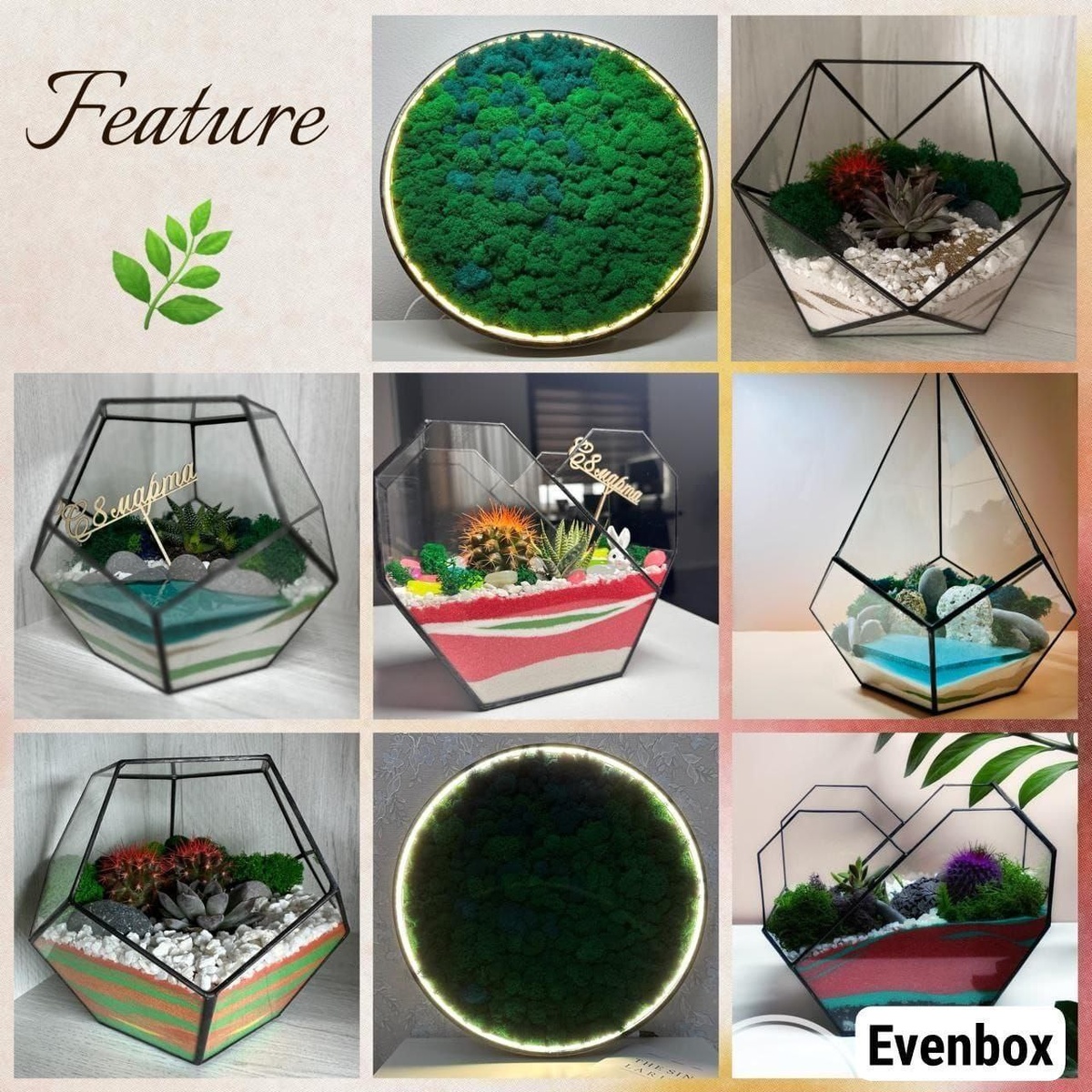 Флорариумы и настенные панно - Evenbox
