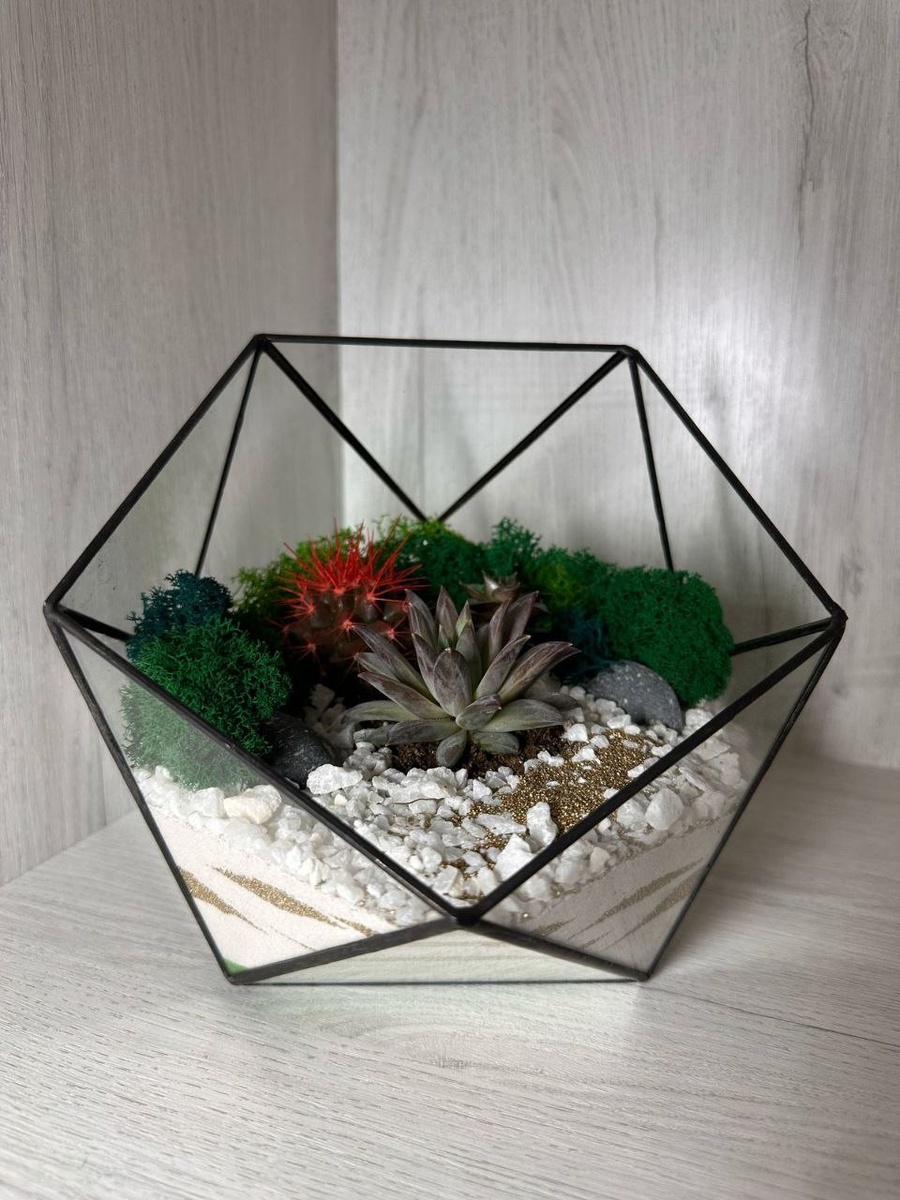 Флорариумы с суккулентами и кактусами