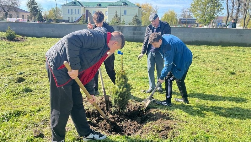      Фото: Администрация Новоселицкого округа
