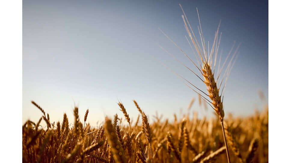 Фото: Артем Краснов / Коммерсантъ