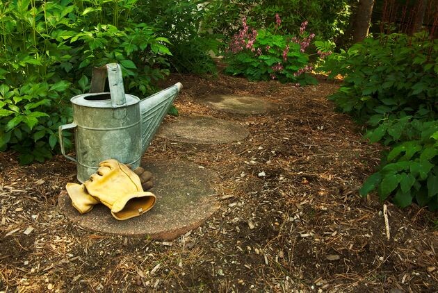 Когда могут изъять неиспользуемый земельный участок? 