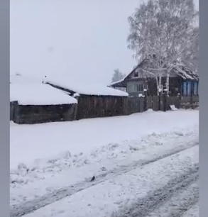     В крае почти все районы одновременно засыпало снегом