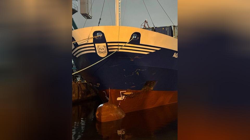    Фото: t.me/mvdszfo