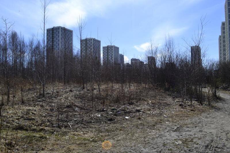    Фото предоставлено ЕАН жителями Академического