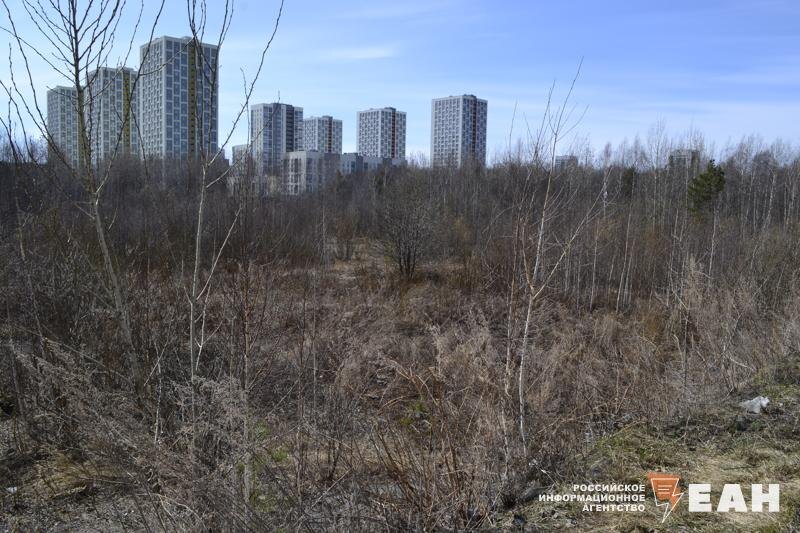    Фото предоставлено ЕАН жителями Академического